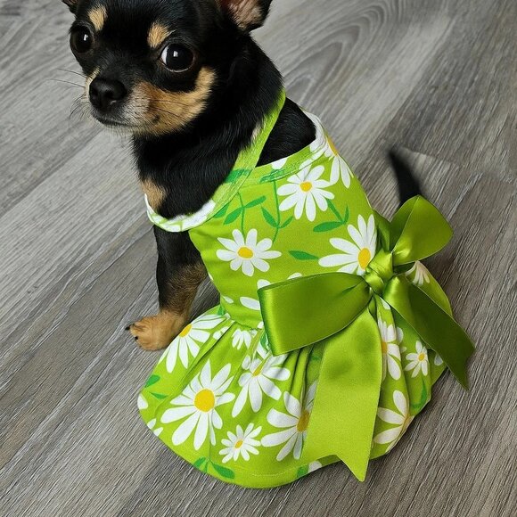 Dog One Piece Daisy Green Suspender Dress - Adorable - Size S - Picture 3 of 4